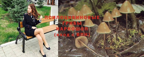 круглые Алексин