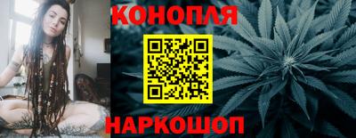 шишки Нарткала