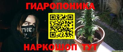 гашиш Можга