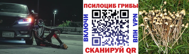 Галлюциногенные грибы GOLDEN TEACHER  закладки  Балабаново 