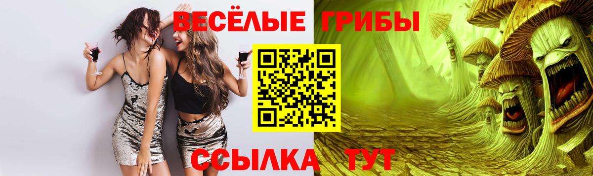 Псилоцибиновые грибы Psilocybine cubensis Балабаново