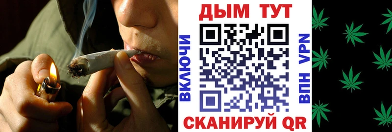 дарнет шоп  Балабаново  Бошки Шишки семена 